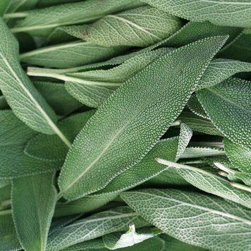 Аромамасло Sage Element (Шалфей, моноаромат) sage-element-10 фото