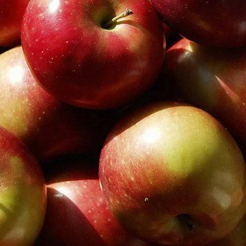 Аромаолія Macintosh Apple (Яблуко) macintosh-apple-10 фото