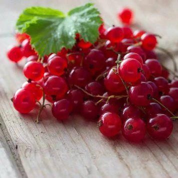 Аромаолія Red Currant (Червона смородина) red-currant-100 фото