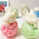 Силиконовая форма для свечей и мыла "Пасхальный кролик" mold_easter_rabitt фото 1