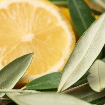 Аромаолія Olive Leaf and Citron (Оливкове листя та цитрон) olive-leaf-citron-10 фото