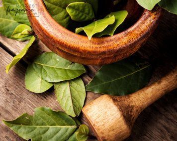 Аромамасло Tobacco + Bay Leaf (Табак и лавровый лист) md-tobacco-bay-leaf-10 фото