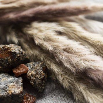 Аромаолія Cashmere Musk (Кашеміровий мускус) cashmere-musk-10 фото