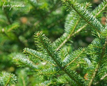Аромамасло Balsam Fir (Пихтовый бальзам) md-balsam-fir-10 фото