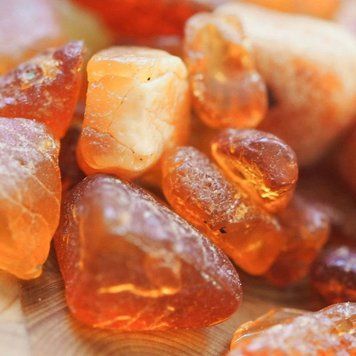 Аромаолія Egyptian Amber (Єгипетський бурштин) egyptian-amber-10 фото