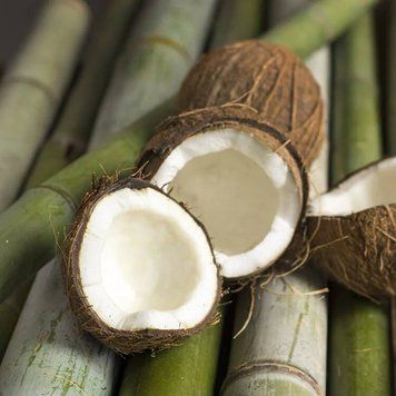 Аромаолія Bamboo and Coconut (Бамбук та кокос) bamboo-coconut-10 фото