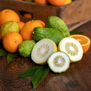 Аромаолія Citron and Mandarin (Цитрон та мандарин) citron-mandarin-10 фото