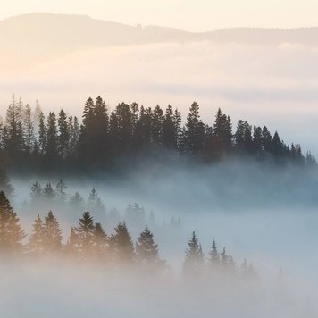 Аромаолія Mountain Mist (Гірський туман) mountain-mist-10 фото