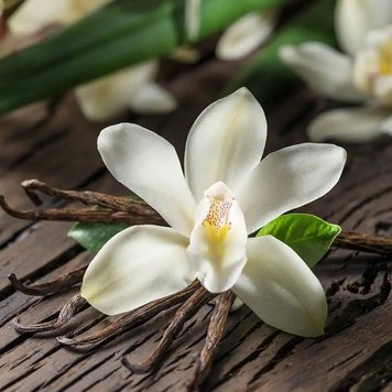 Аромамасло Vanilla Orchid (Ванильная орхидея) vanilla-orchid-10 фото